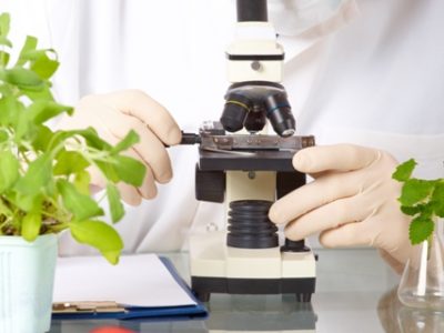 Crédito Shutterstock