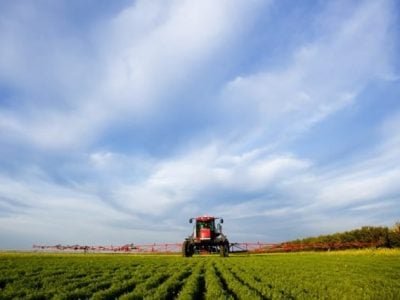 CréditoShutterstock