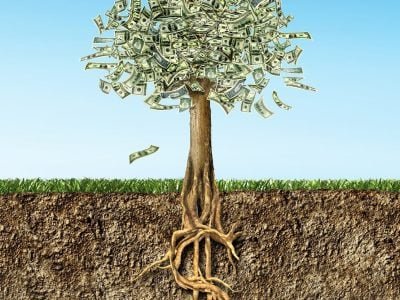 Crédito Shutterstock