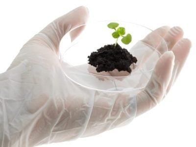 CréditoShutterstock