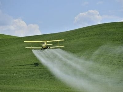 CréditoShutterstock