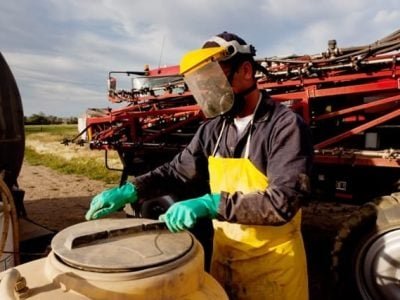 Crédito Shutterstock