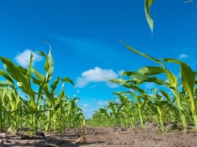 Crédito Shutterstock