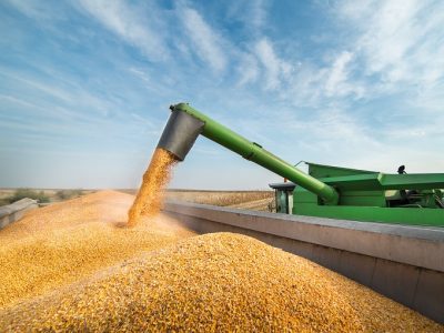 Crédito Shutterstock