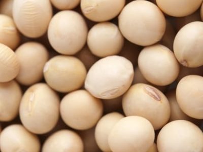 Crédito Shutterstock