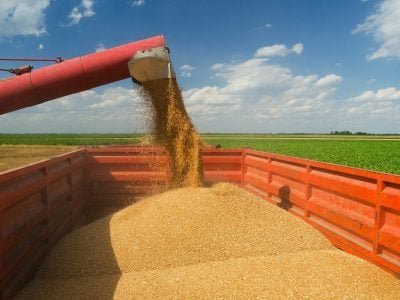 Crédito Shutterstock