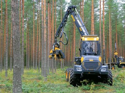 CréditoShutterstock