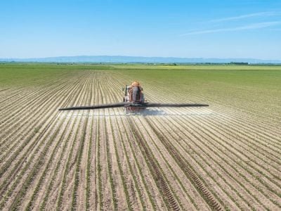 Foto-01-CréditoShutterstock8