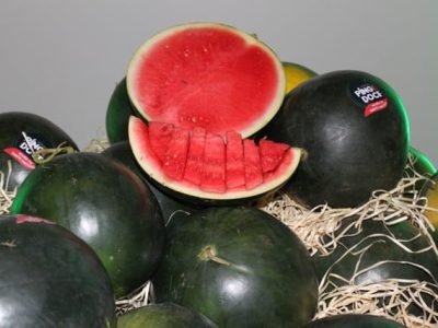 Créditos Adrielle Teodoro