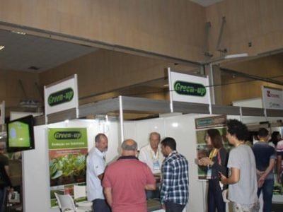 Créditos Ana Maria Diniz