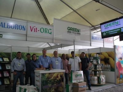 Créditos Ana Maria Diniz