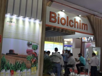 Créditos Ana Maria Diniz