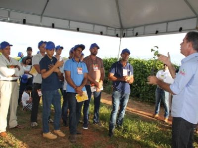 Créditos Ana Maria Diniz