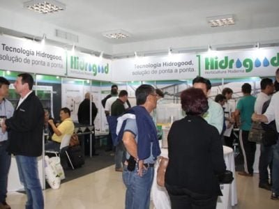 Créditos Ana Maria Diniz