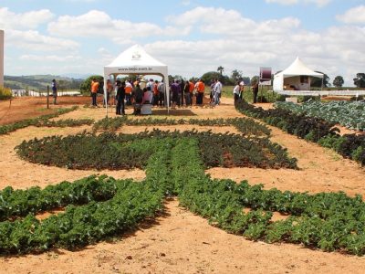 Créditos Ana Maria Diniz
