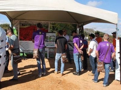 Créditos Ana Maria Diniz