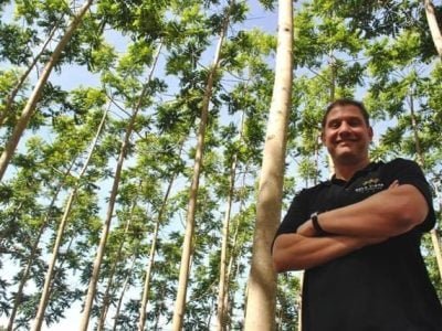 Créditos Bela Vista Florestal