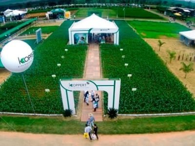 Créditos Divulgação