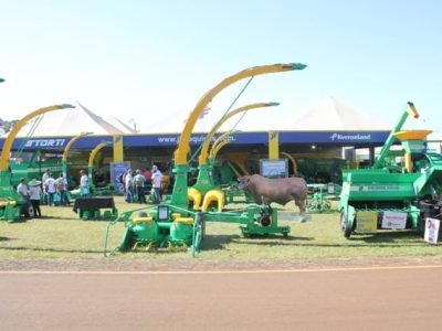 Créditos Divulgação