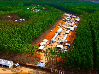 Foto-01-Créditos-Divulgação-ExpoforestValterci-Santos