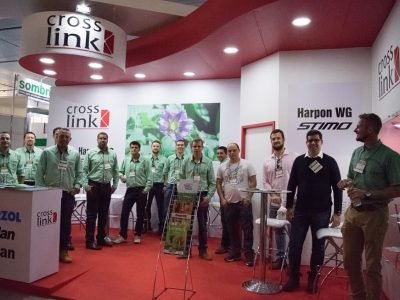 Créditos Divulgação