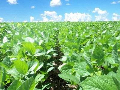 Créditos Dominisolo