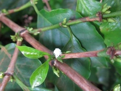 Créditos Eduardo Mosca