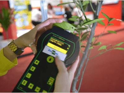 Créditos Flavio Ubiali