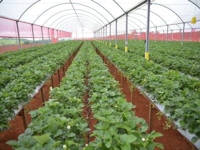 Créditos Ingrid Senra