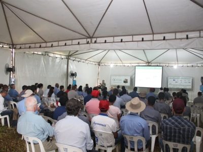 Créditos Luize Hess