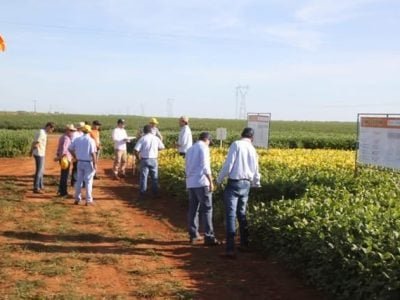 Créditos Luize Hess