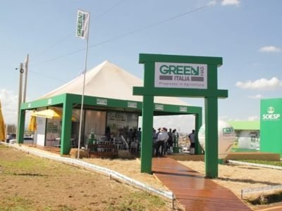 Créditos Luize Hess