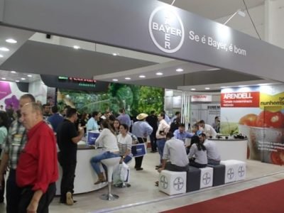 Créditos Luize Hess