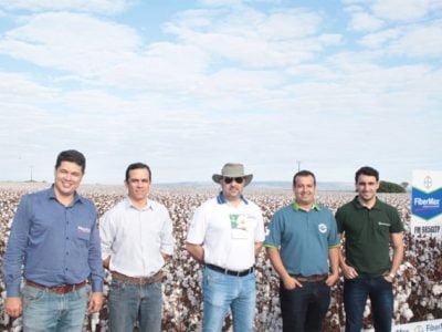 Créditos Luize Hess