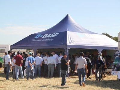 Créditos Luize Hess