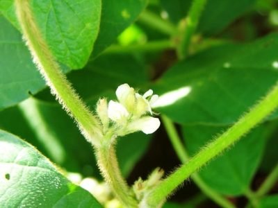 Créditos Miriam Lins