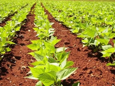 Créditos-Nilton-Gomes-Jaime