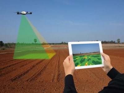 Créditos Shutterstock