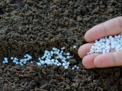 Créditos Shutterstock