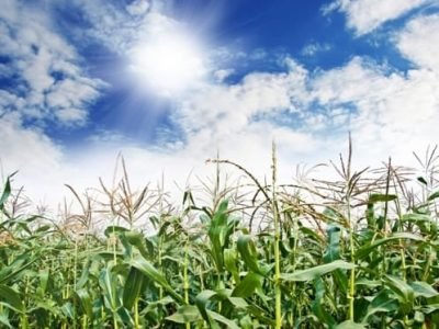 Créditos Shutterstock