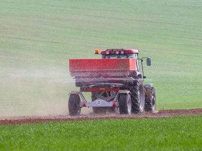 Créditos Shutterstock