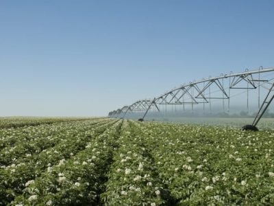 Créditos Shutterstock