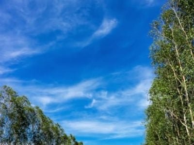 Créditos Shutterstock