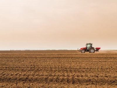 Créditos Shutterstock