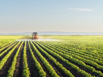 Créditos Shutterstock