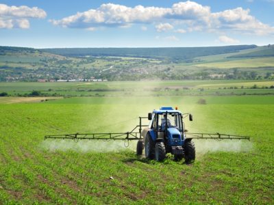 Créditos Shutterstock