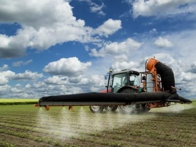 Créditos Shutterstock