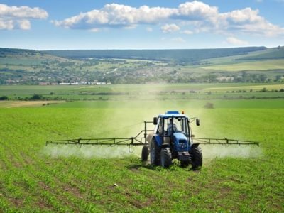 Créditos Shutterstock