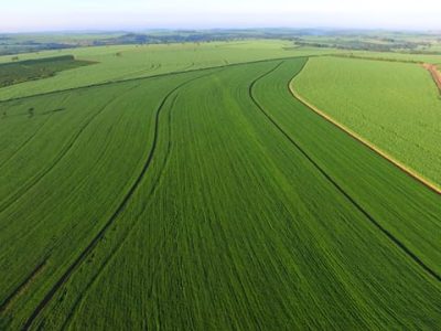 Créditos Shutterstock