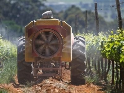 Créditos Shutterstock